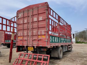 金用護(hù)欄2021年4月6日鋅鋼陽臺欄桿發(fā)貨！