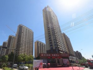 合肥龍澤府第小區(qū)項目定制空調欄桿、樓梯欄桿產品